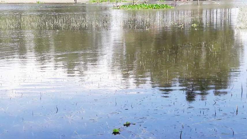 embankment at Bhangamore.jpg