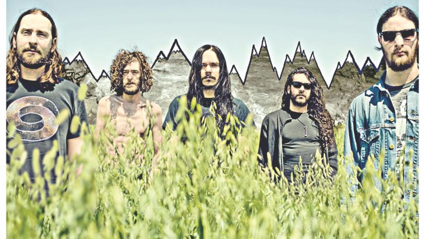 Fables from a Mayfly