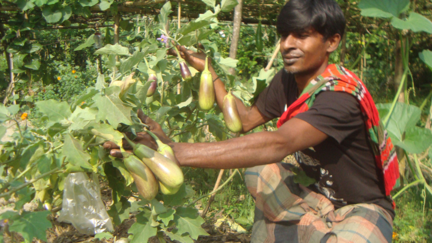 Farmer Shakhawat Hossain.jpg