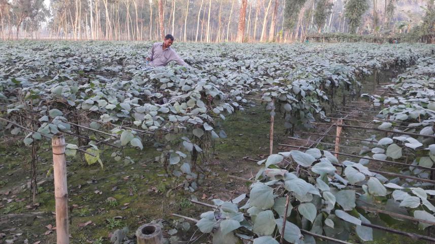 Farmer Zahurul Islam.jpg
