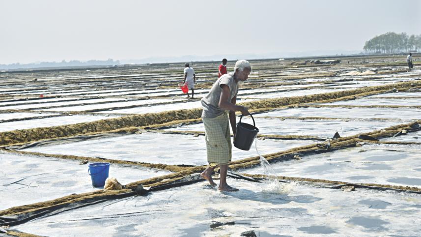 salt farmers