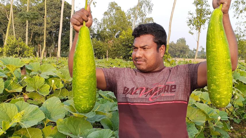 Farming with compost.jpg