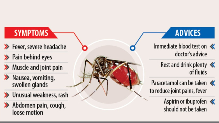 fight against dengue.jpg
