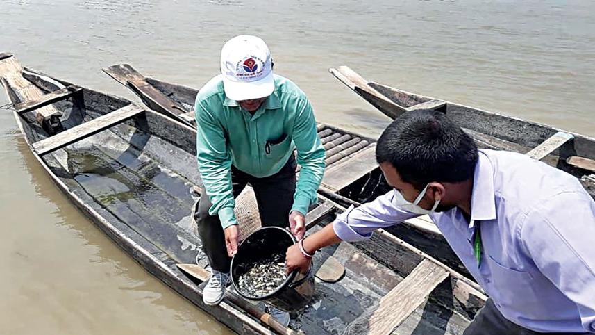 Fish-threat-haors-Sylhet.jpg