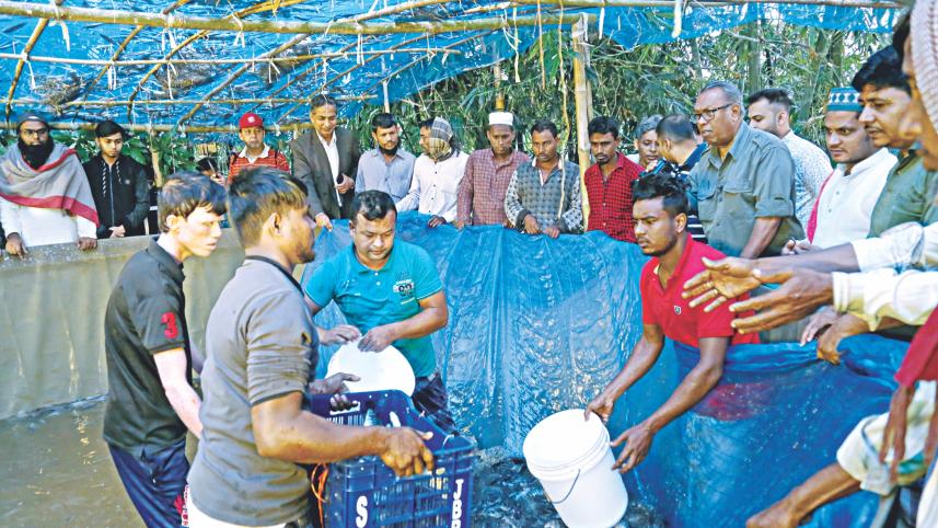 fish harvest Biofloc technology.jpg