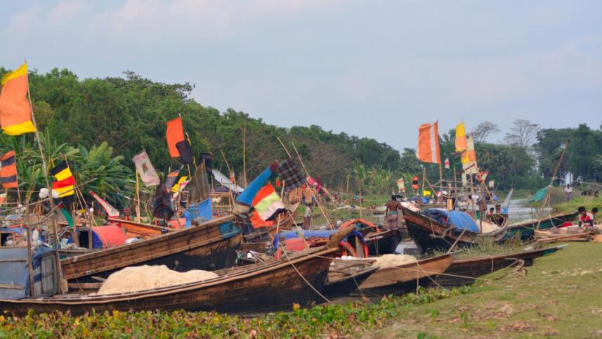fishing boats.jpg