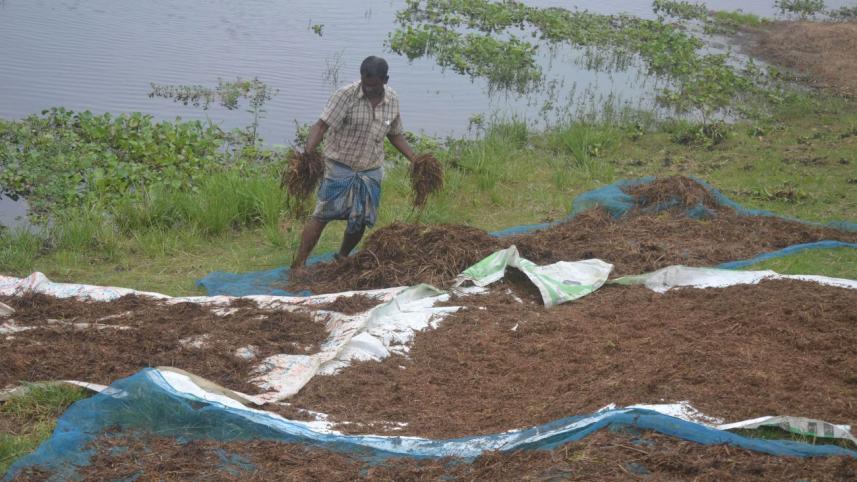 flood-hit Boro farmers.jpg