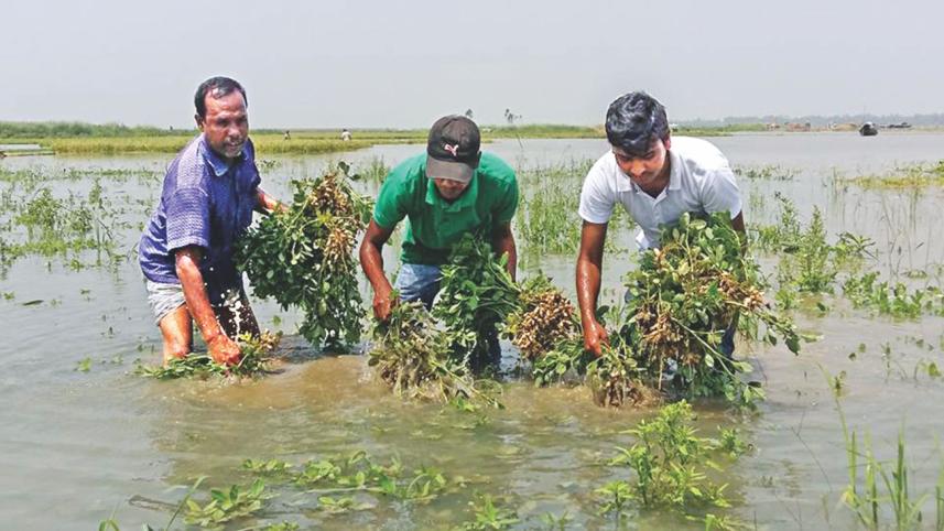 flood in chalan bil.jpg