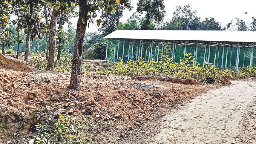 forest land bhaluka.jpg