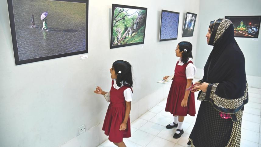 foresting exhibition 1.jpg