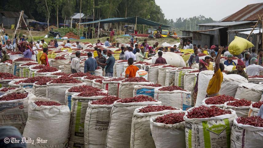 gaibandha_red_chilli.jpg