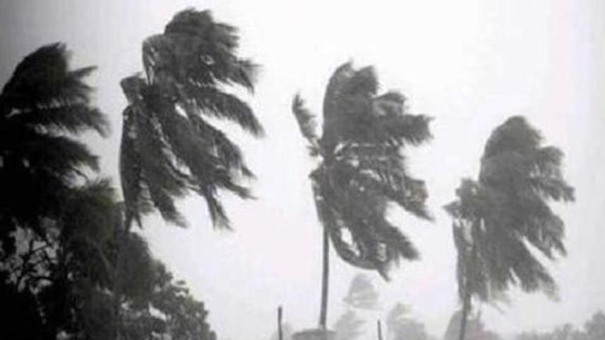 gaja_PIB India_Twitter.JPG