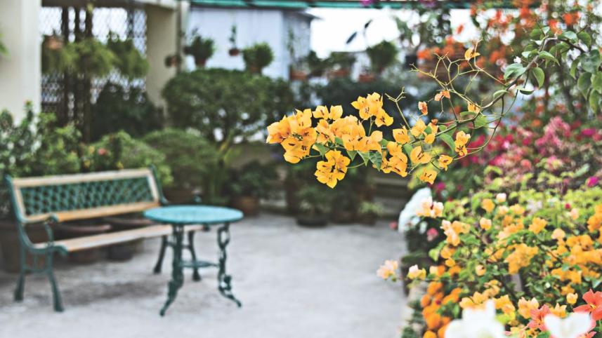 Gardening in the crowded city