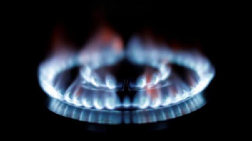 gas_burner-wb.jpg