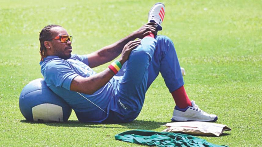gayle.jpg