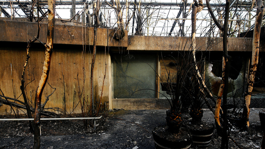 germany zoo_reuters.JPG