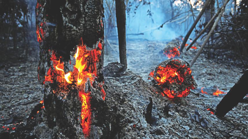 Greenhouse gases.jpg