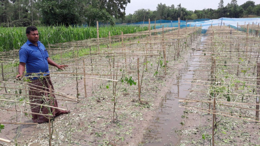 Hailstorm damages lalmonirhat.jpg