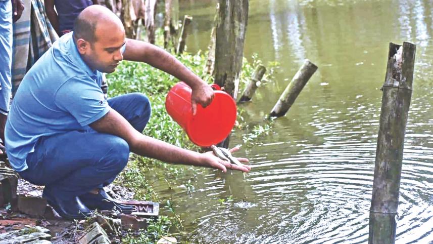 Halda’s broodfish 1.jpg