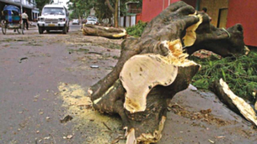 Heart-broken in Gulshan