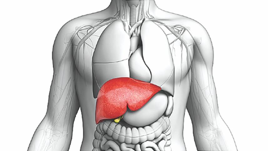 Diet and nutrition for Hepatitis