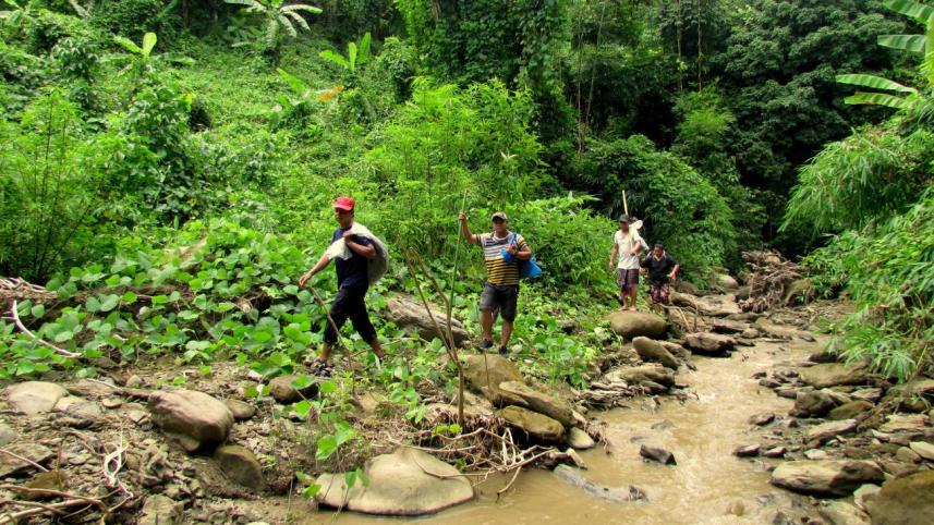 Hills lush again.jpg