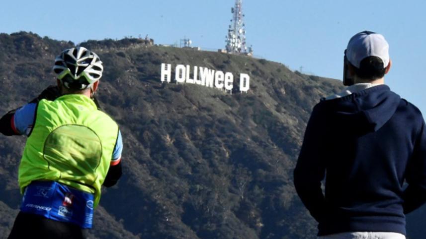 Hollyweed-web.jpg