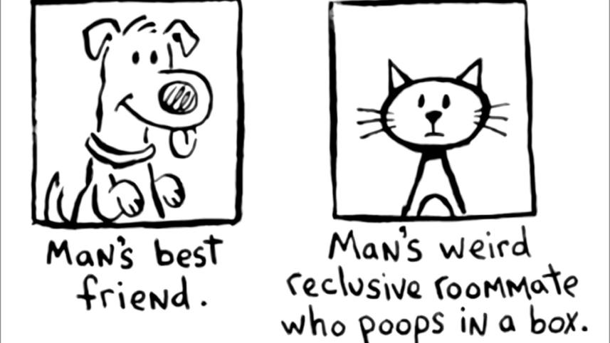 How pet preferences profile you