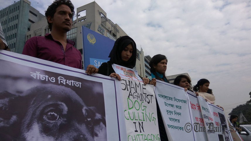 Animal lovers, Chittagong city, Dog lovers, dog culling in Ctg