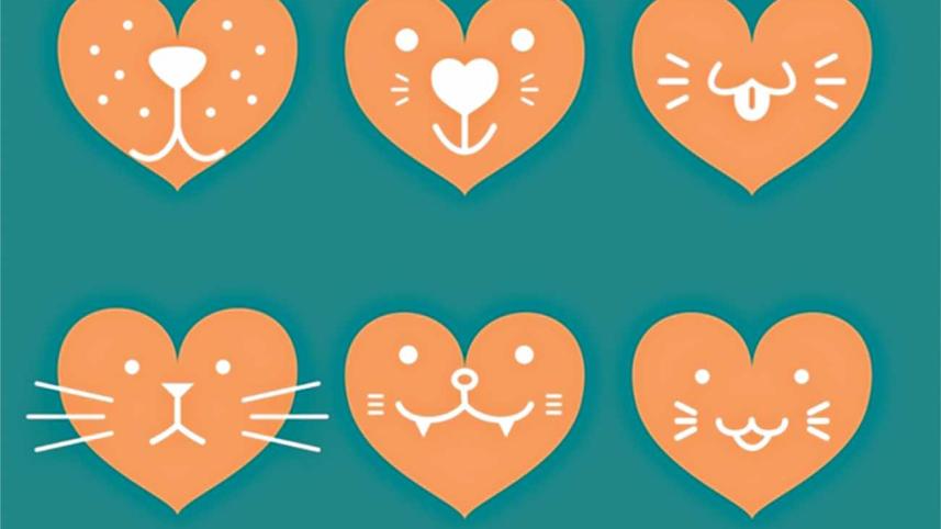 I love animals, but.