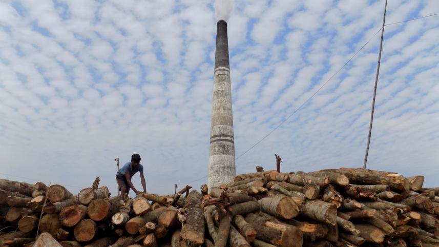 Illegal Brick Kiln Bandarban.jpg