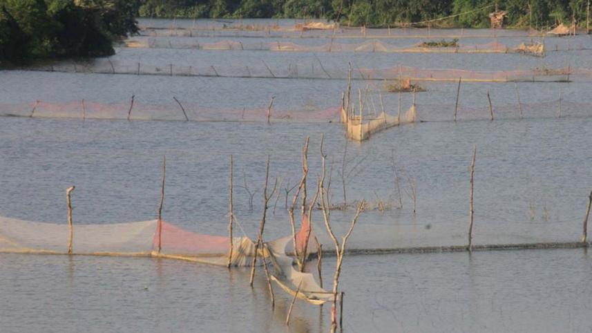Illegal nets coastal area 1.jpg