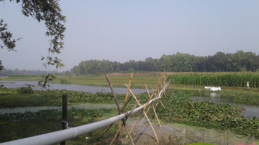 Illegal sand lifting Kapotakkho.jpg