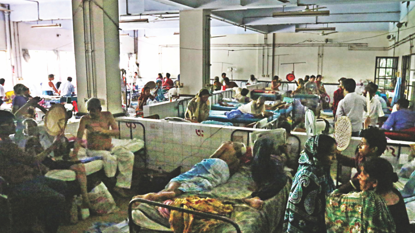 In the sweltering summer.jpg