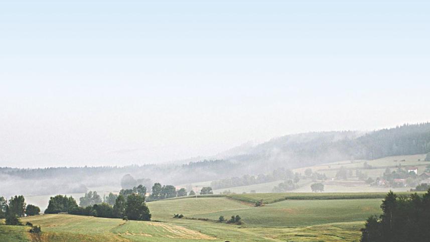 In this misty field one day