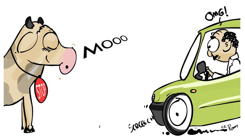 Indian speeding solution - Ehsanur Raza Ronny.jpg