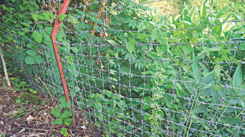 indigenous land grabbing 1.jpg