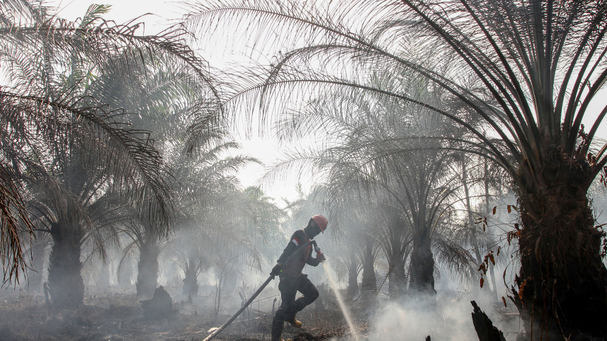 Indonesia-WB.jpg