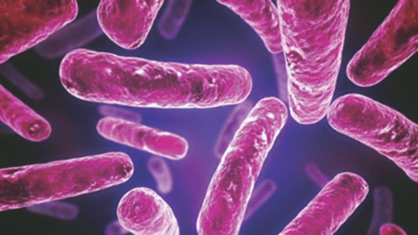 infectious disease.jpg