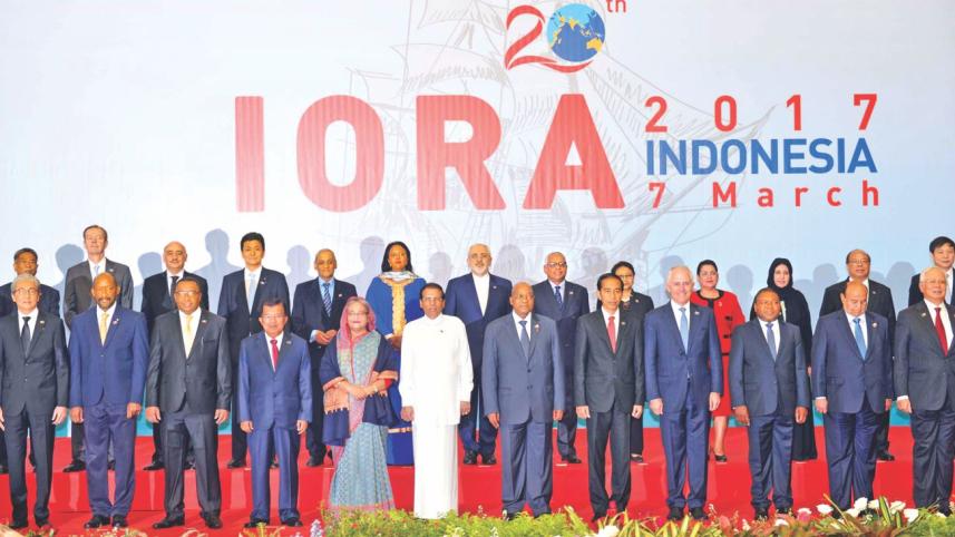 Iora.jpg