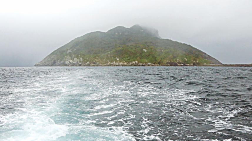 island.jpg