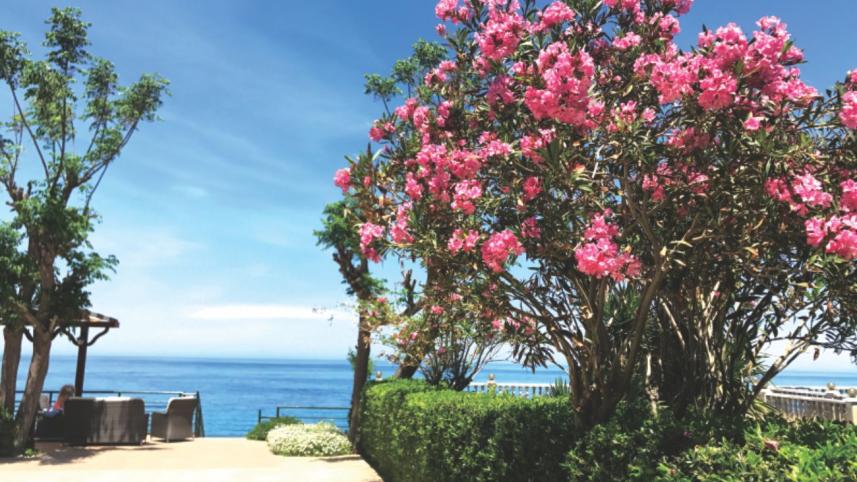 Island nation in the Mediterranean