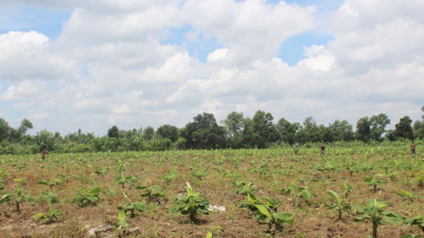 Jalchhatra Bazar 1.jpg