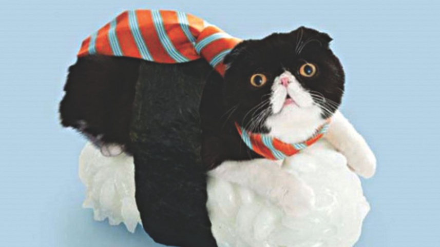 Japanese TV commercials