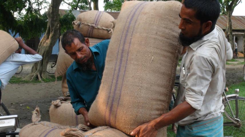 Lalmonirhat farmers bleak future.jpg