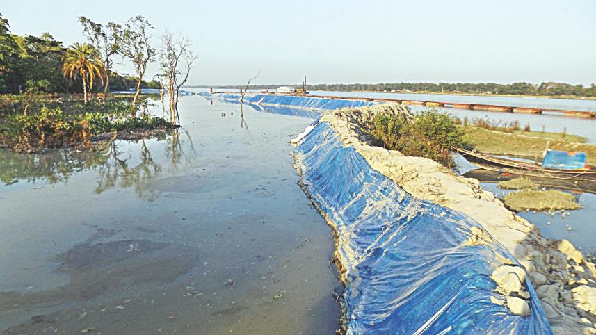 Land grabbers feast.jpg