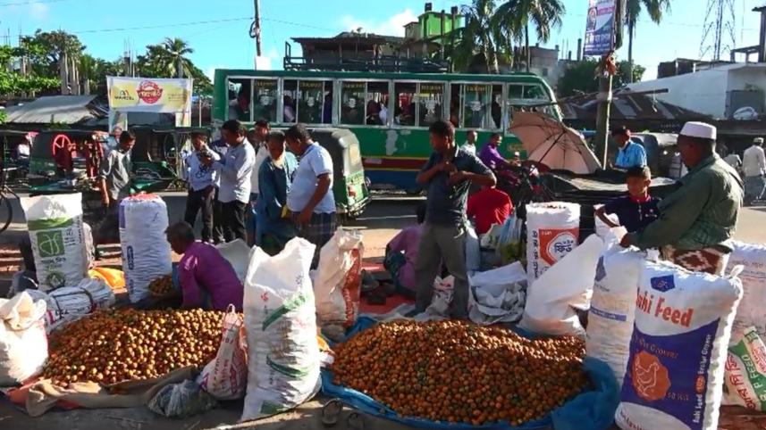 Laxmipur betel nuts.jpg