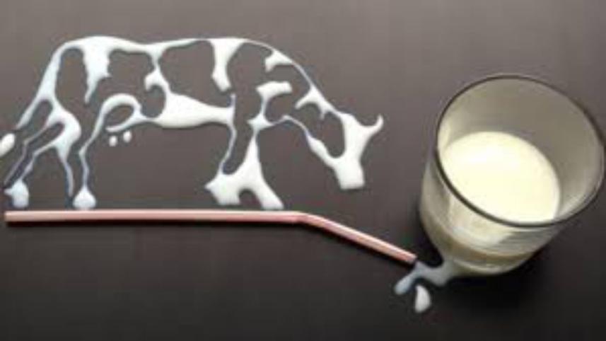 Lead and bacteria milk.jpg