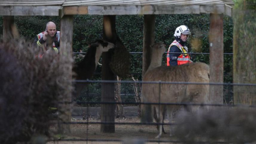london zoo fire_AFP.jpg