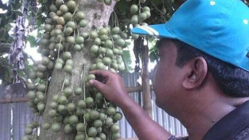 lotcon lalmonirhat.jpg